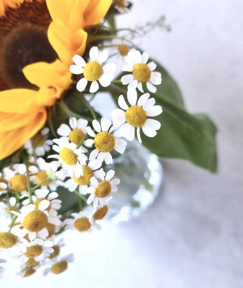 Le bouquet de saison Monsieur Fleur composé de Tournesols