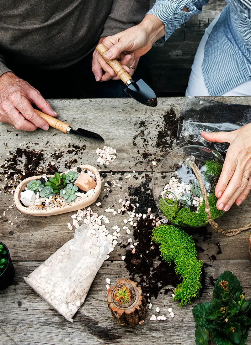 Création d'un Terrarium chez Monsieur Fleur