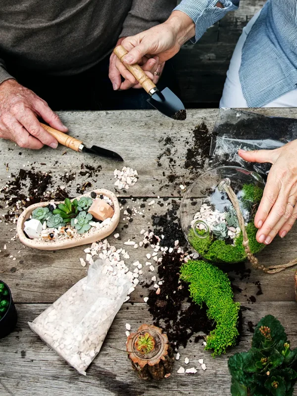 Création d'un Terrarium chez Monsieur Fleur